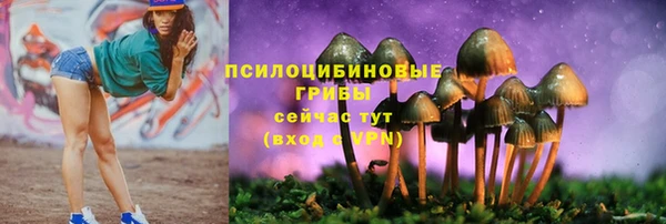 эйфоретик Карпинск