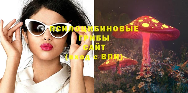 эйфоретик Карпинск