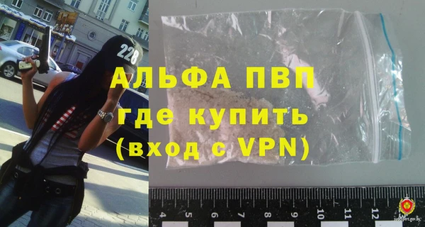 эйфоретик Карпинск